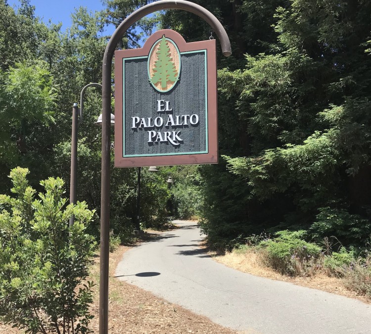 El Palo Alto Park (Palo&nbspAlto,&nbspCA)